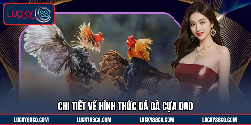 Chi tiết về hình thức đá gà cựa dao