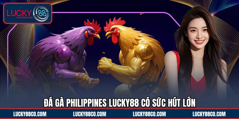 Đá gà Philippines LUCKY88 có sức hút lớn 