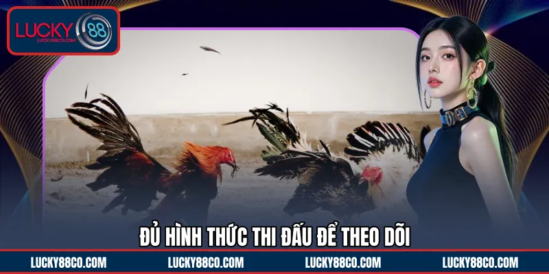 Đủ hình thức thi đấu để theo dõi 