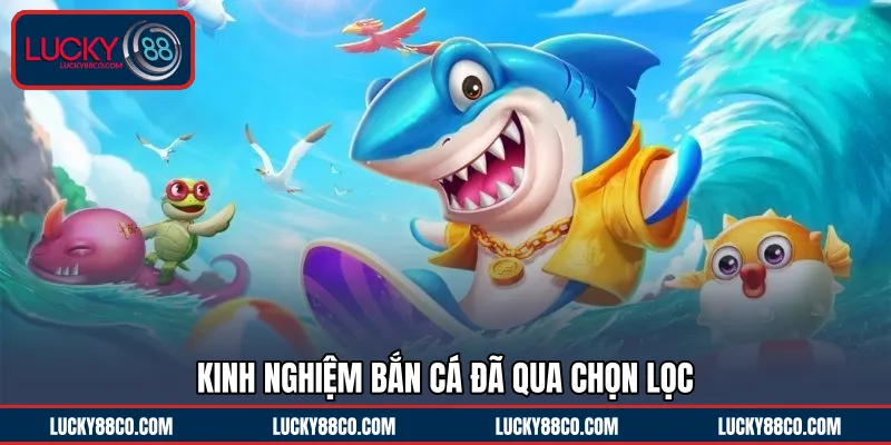 Kinh nghiệm bắn cá đã qua chọn lọc 