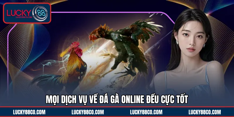 Mọi dịch vụ về đá gà online đều cực tốt 