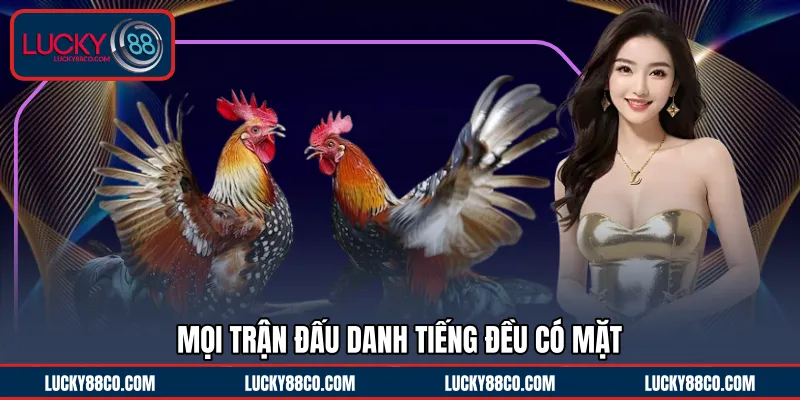 Mọi trận đấu danh tiếng đều có mặt 
