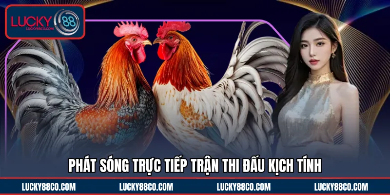 Phát sóng trực tiếp trận thi đấu kịch tính 