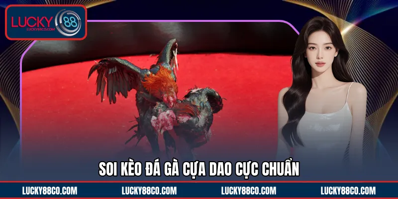 Soi kèo đá gà cựa dao cực chuẩn 