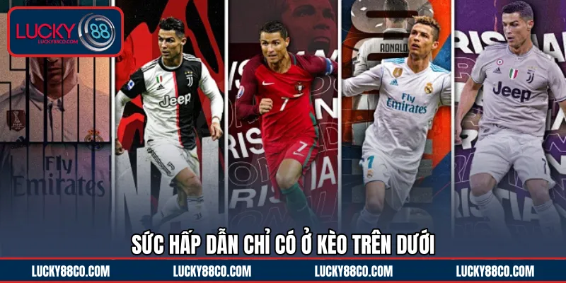 Sức hấp dẫn chỉ có ở kèo trên dưới