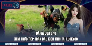 Đá Gà Cựa Dao | Xem Trực Tiếp Trận Đấu Kịch Tính Tại LUCKY88