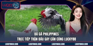 Đá Gà Philippines | Trực Tiếp Trận Đấu Gay Cấn Cùng LUCKY88